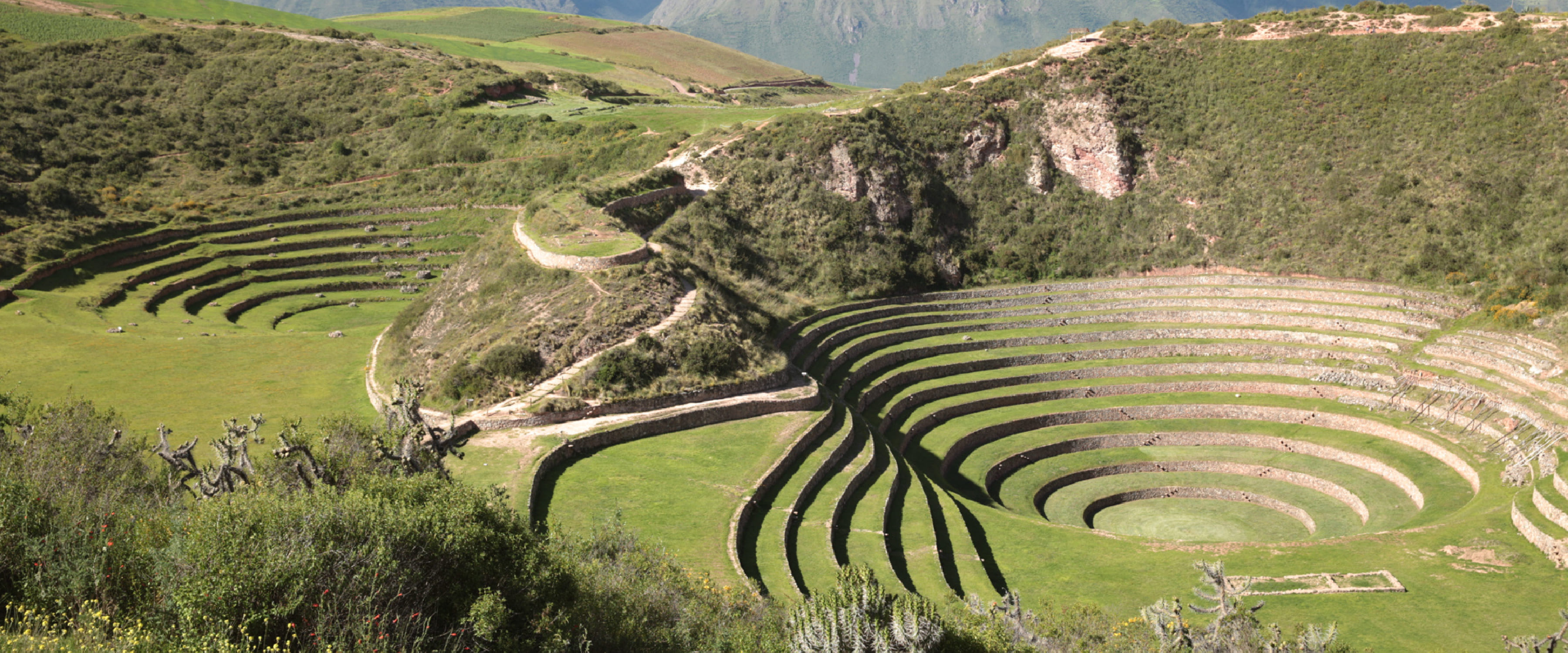 Moray Maras